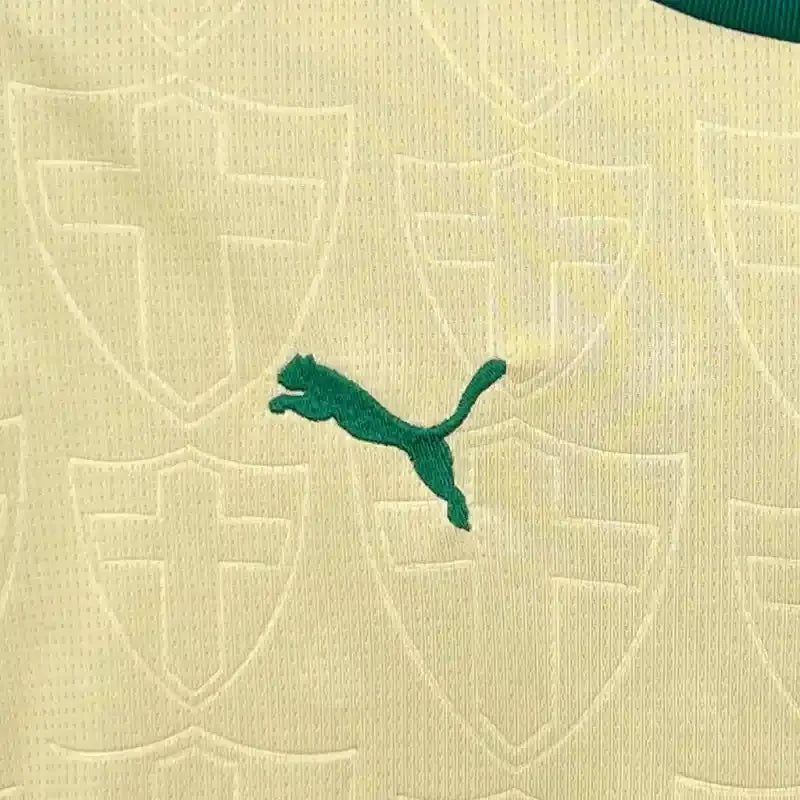 Palmeiras Auswärtstrikot 2024