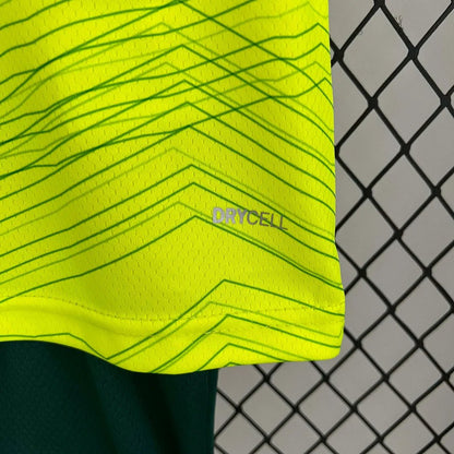 Troisième Maillot Palmeiras 2023