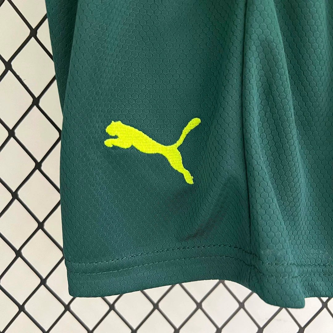 Troisième Maillot Palmeiras 2023
