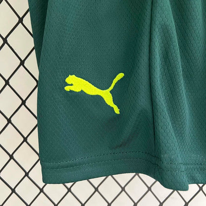 Troisième Maillot Palmeiras 2023