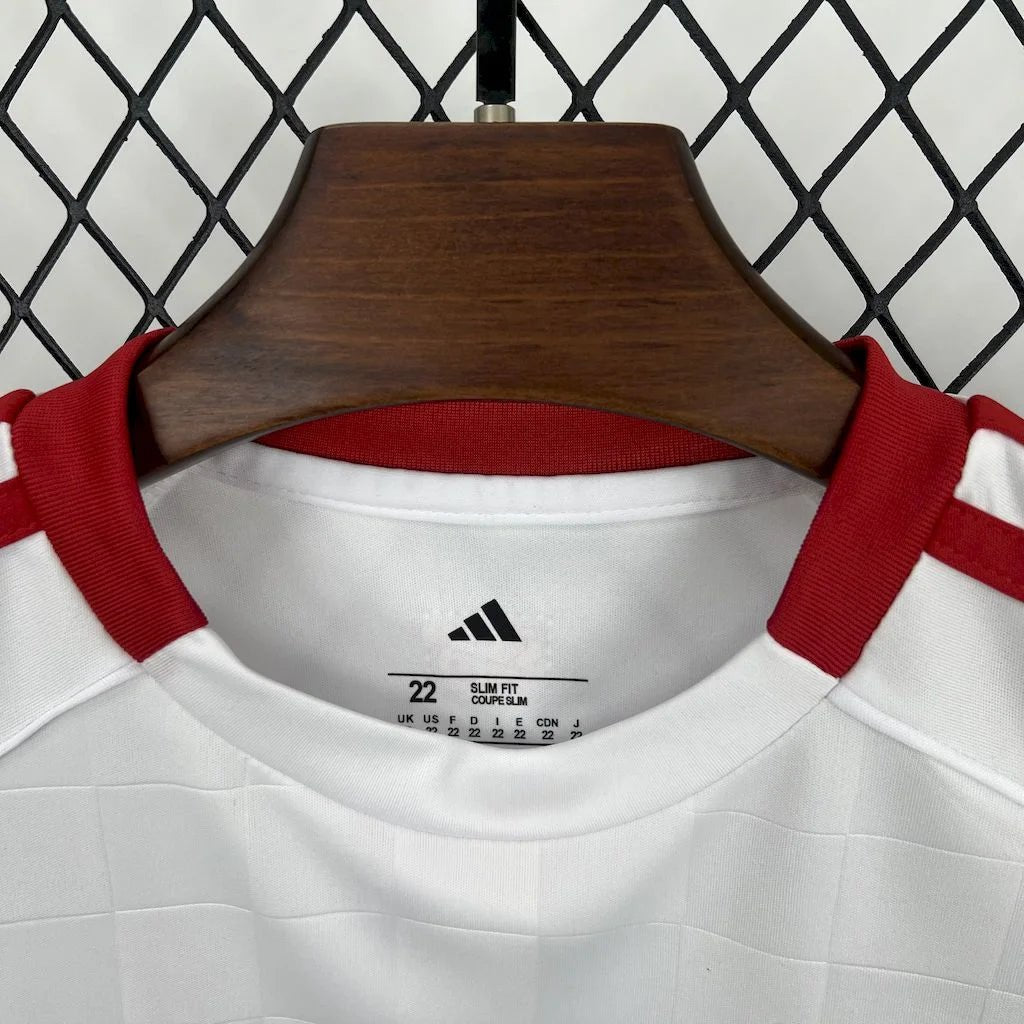 Benfica 2025 Third Jersey