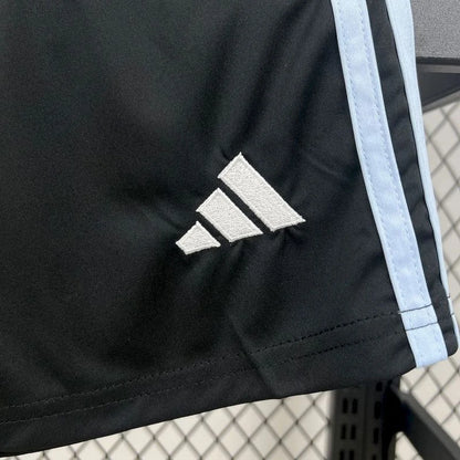 Aston Villa 2025 Away Jersey