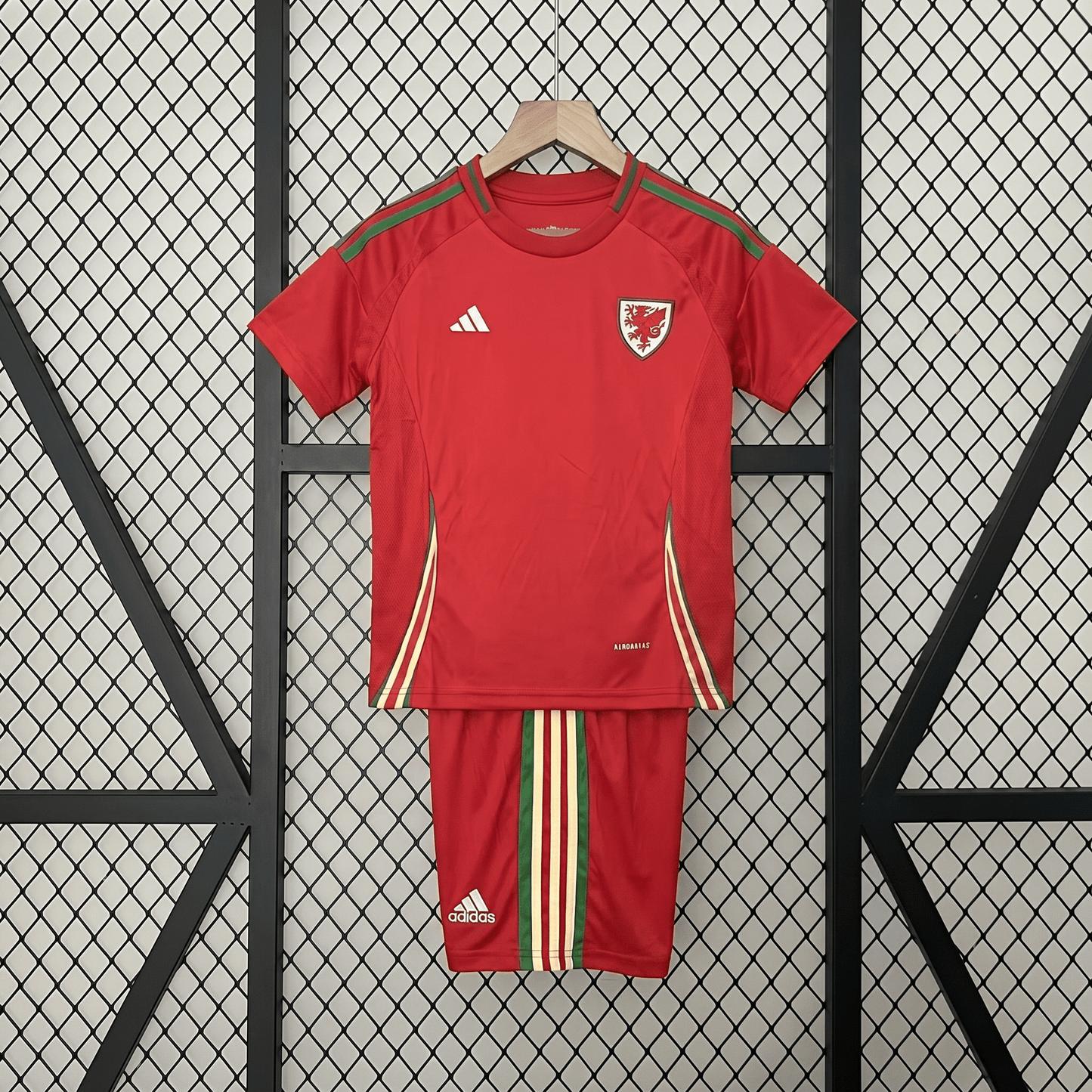 Wales 2024 Home Jersey