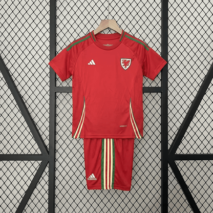Wales 2024 Home Jersey