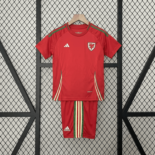Wales 2024 Heimtrikot