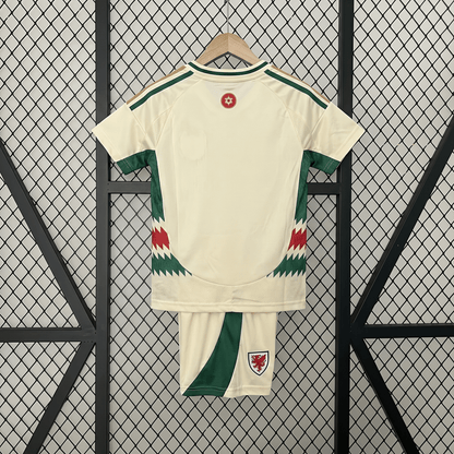 Wales 2024 Away Jersey