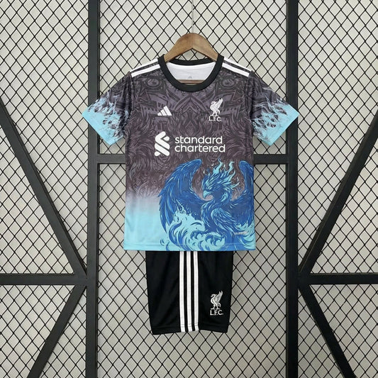 Liverpool 2025 Gray & Blue Special Edition Jersey